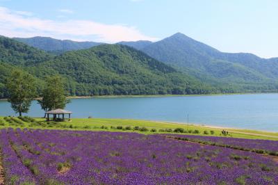 2019.7 丘とダムとラベンダーの隠れスポット　美瑛町～南富良野町