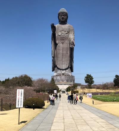 牛久大仏と水戸へ　一泊旅行　1日目牛久大仏と牛久シャトー