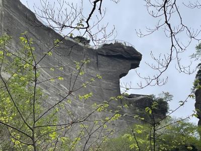 鋸山へ登ってみた