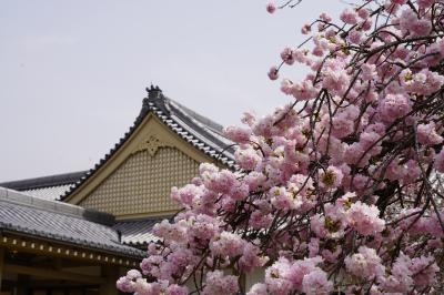 20210330-2 京都 醍醐寺 其の二は、霊宝館の宝物とお庭の桜と