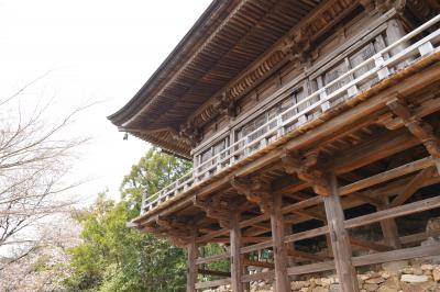 20210330-4 京都 醍醐寺 其の四、上醍醐登ります