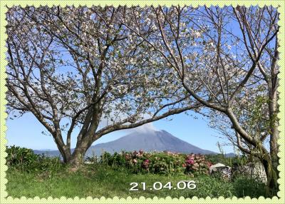 近場の桜が咲き始めたので撮ってみました