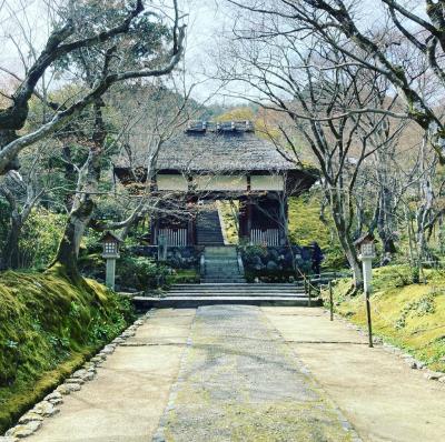 春の京都 ちゅんとマスク旅。