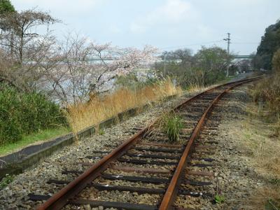 悲しい肥薩線の今、球磨川沿いの桜を求めて