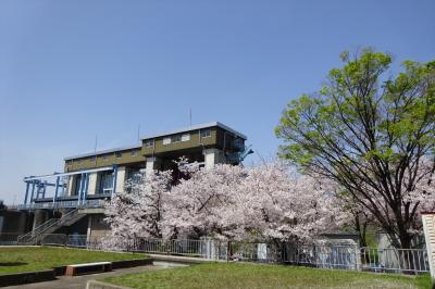 桜ウオーキング城北公園から--&gt;毛馬閘門--&gt;新大阪まで。。。。