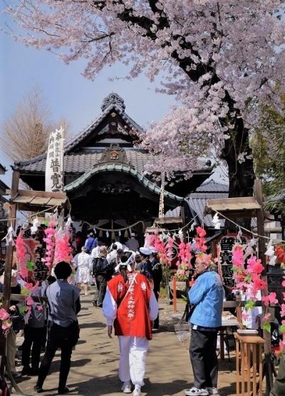 中山道本庄宿、春の風物詩(祭礼の巻）