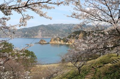 伊豆･箱根、富士山巡りの旅（２日目）