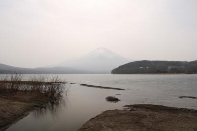 伊豆･箱根、富士山巡りの旅（５日目）