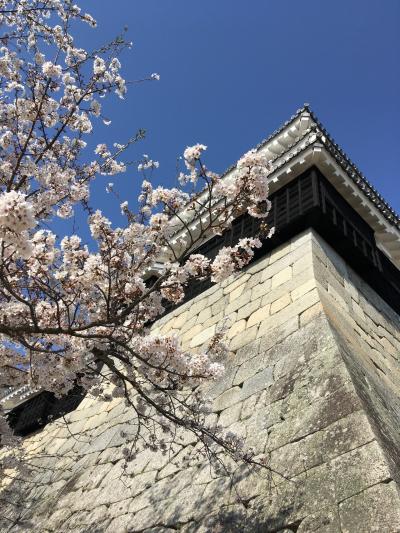 2021.3　母子ふたり旅　四国初上陸