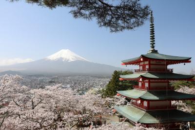 伊豆･箱根、富士山巡りの旅（６日目）