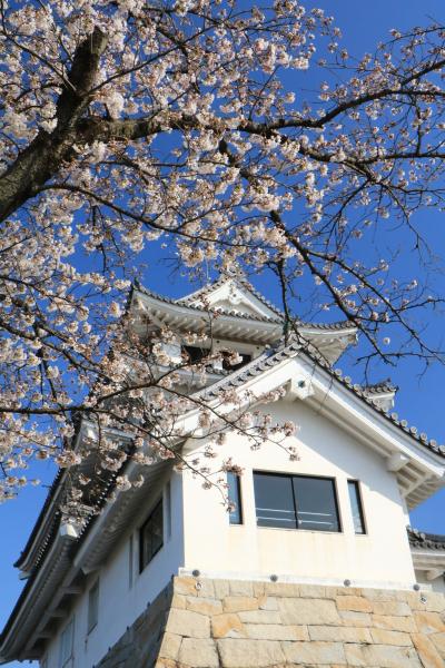 満開近い桜お花見トリップ♪　新境川の桜と電車、乗り鉄と撮り鉄♪＆墨俣一夜城♪　一日目