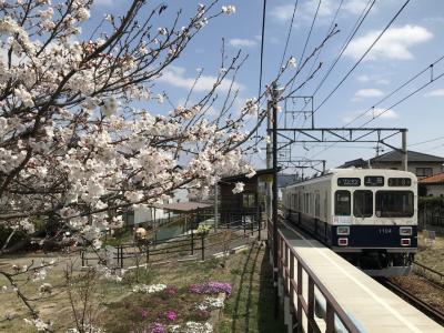 全線運転再開した上田電鉄に乗る旅