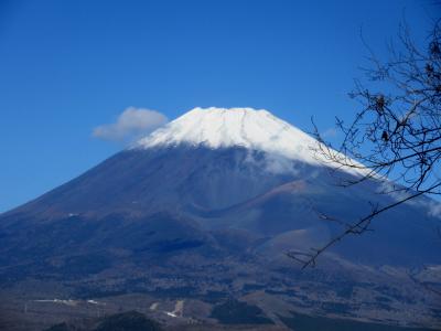 富士山を見る山行シリーズ 南から見る富士山　愛鷹山