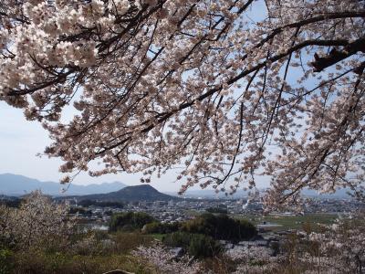 2年ぶり13回目の奈良旅は、1泊2日で桜めぐり♪② 飛鳥 編