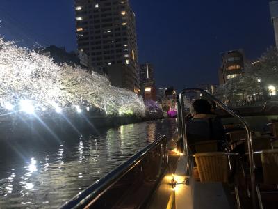 桜クルーズ　大岡川の花筏（はないかだ）