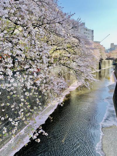 中目黒 祐天寺 花見 に関する旅行記 ブログ フォートラベル 東京