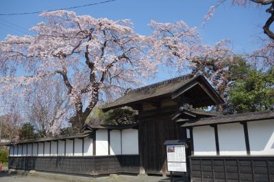 ☆２０２１年前期ＮＨＫ朝ドラ『おかえりモネ』の舞台☆　２０２１年４月　桜咲く宮城の明治村・登米町歩き