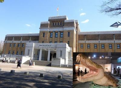 上野公園に行き，国立科学博物館で思いがけず地球のハンター特別展に入場することになった