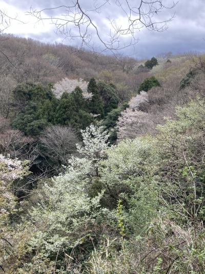 山笑う春　ｉｎ　房総