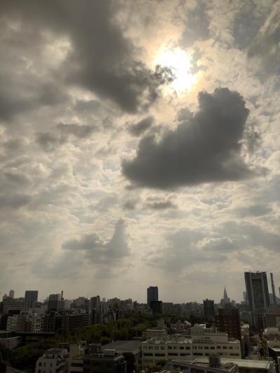 春の東京ホテル引きこもり