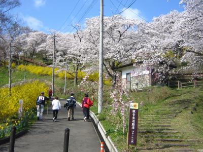 ’２１　春の福島・宮城駅さんぽ７　船岡城址公園の船岡平和観音～白石川千桜公園～大河原駅