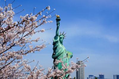 埋立地だと思って侮るなかれ、桜とチューリップのコラボだって見れるんです！　in　お台場