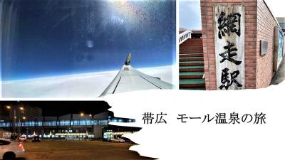 帯広 モール温泉の旅