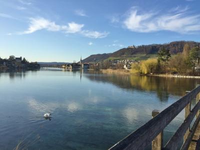 スイス･ロココの傑作“知の聖地”と美しい中世の街“ラインの宝石” -No.2 Stein am Rhein