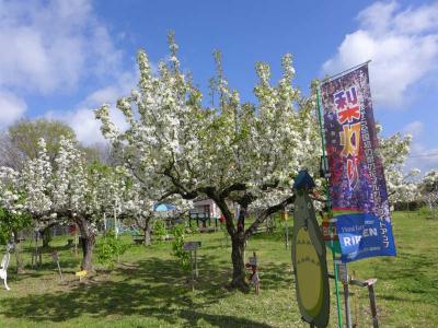 梨の花農園RIKAEN  !  五條市・東阿田町