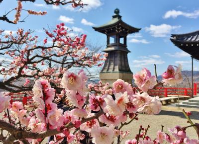 春の兆し感じる梅満開の中山寺&清荒神へお参り♪