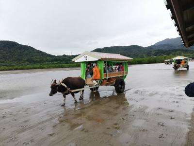 たまにはベタな観光旅行2012　　「GoTo利用で、西表島＆由布島＆竹富島＆海ぶどう＆ミミガー＆八重山そば＆ジーマーミ豆腐」　～沖縄～