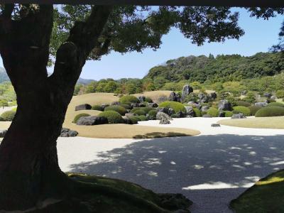 島根&鳥取の主要観光地を初めて巡る⛩️1泊２日