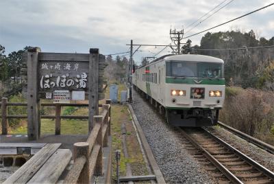 終焉を迎える１８５系踊り子号　- 富戸・城ケ崎 -