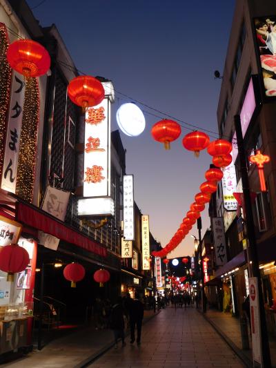 久しぶりの横浜中華街 ぶらぶら散策 ディナークルーズを満喫1泊2日の旅