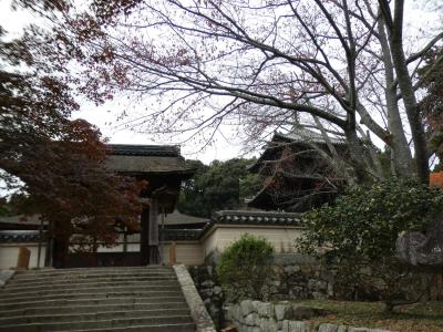 滋賀 大津 三井寺 唐院(Toin, Miidera Temple, Otsu, Shiga, JP)