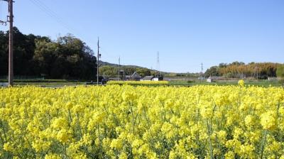 聖徳太子１４００年遠忌に遅参