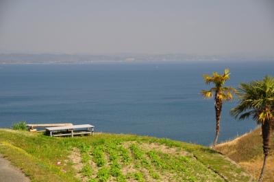 春の陽気に誘われて②♪　アートな島　豊島（てしま）への旅。。