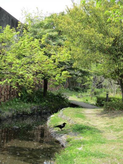 お散歩に行きます。川島ビオトープ（別山二号公園、さくら公園）の場所目指してです（２０２１年）