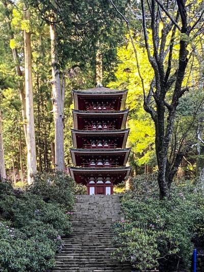 室生 宇陀に関する旅行記 ブログ フォートラベル 奈良県 室生 宇陀に関する旅行記 ブログ フォートラベル 奈良県