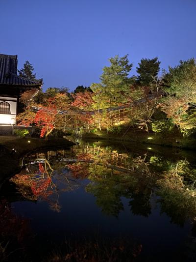 京都　ちょっと紅葉（東福寺　庚申堂　高台寺　圓徳院）