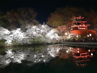 高田公園の桜　２０２１