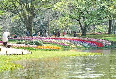 Japan 再開した昭和記念公園でチューリップを楽しむ（前半）　～ミツバチばあやの冒険～