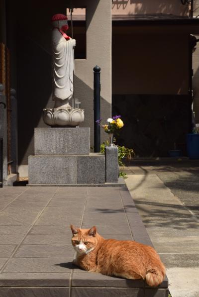 花まつりは花御堂探し　2021年は千駄木～谷中～上野へ　＋台湾ごはん