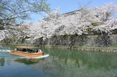 桜の京都