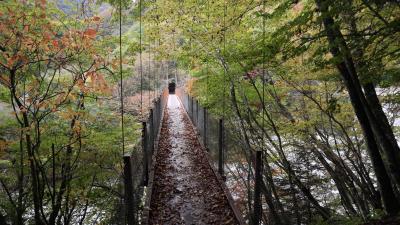 箱根湿性花園、大涌谷、山梨西沢渓谷トレッキング、笛吹川フルーツ公園を巡る(その２)