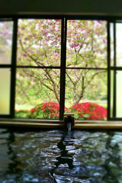 人吉に関する旅行記 ブログ フォートラベル 熊本県 人吉に関する旅行記 ブログ フォートラベル 熊本県