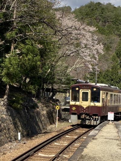 春のわたらせ渓谷鐵道に乗車