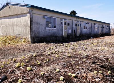 21 北海道・陽春遠き釧路　昭和の集合住宅と炭鉱を辿るぶらぶら歩き旅ー３