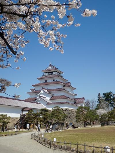 桜といえば、お城？~その２　＠鶴ヶ城　会津若松市