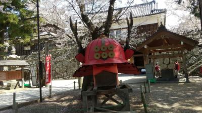 赤兜「真田六文銭」、いざ桜出陣!